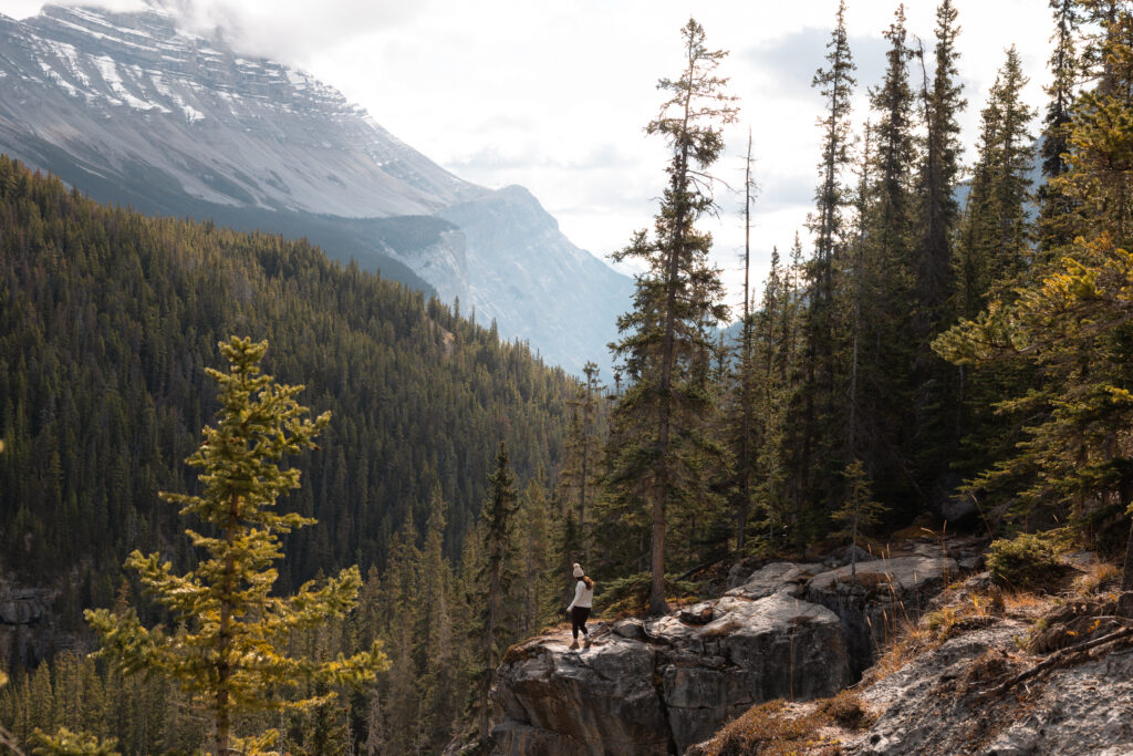 Bridal Viel and Panther Falls side trail on the Icefields Parkway