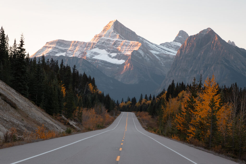 What to do in the Canadian Rockies:  Icefields Parkway