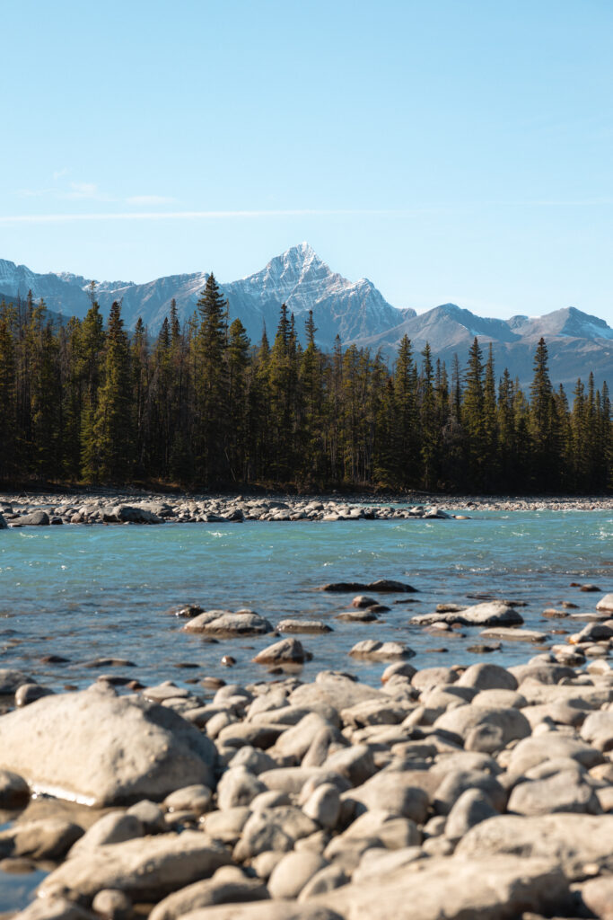 Athabasca River on the Icefields Parkway