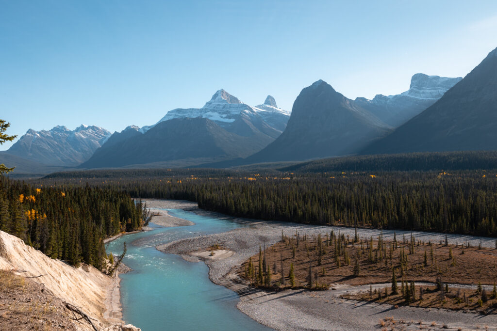 Goats and Glaciers Overlook on the Icefields Parkway