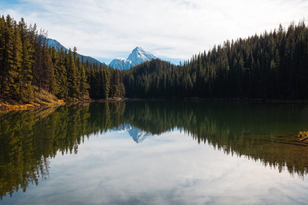 reflections in Maligne Lake 