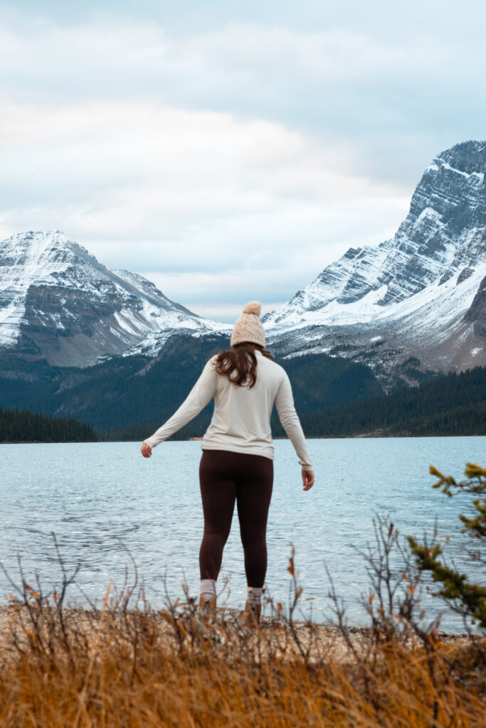  views on the Icefields Parkway