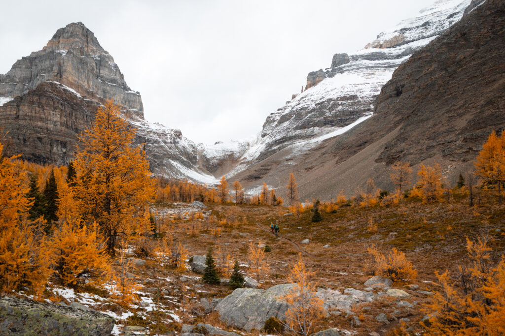 Larch Valley in the Canadian Rockies