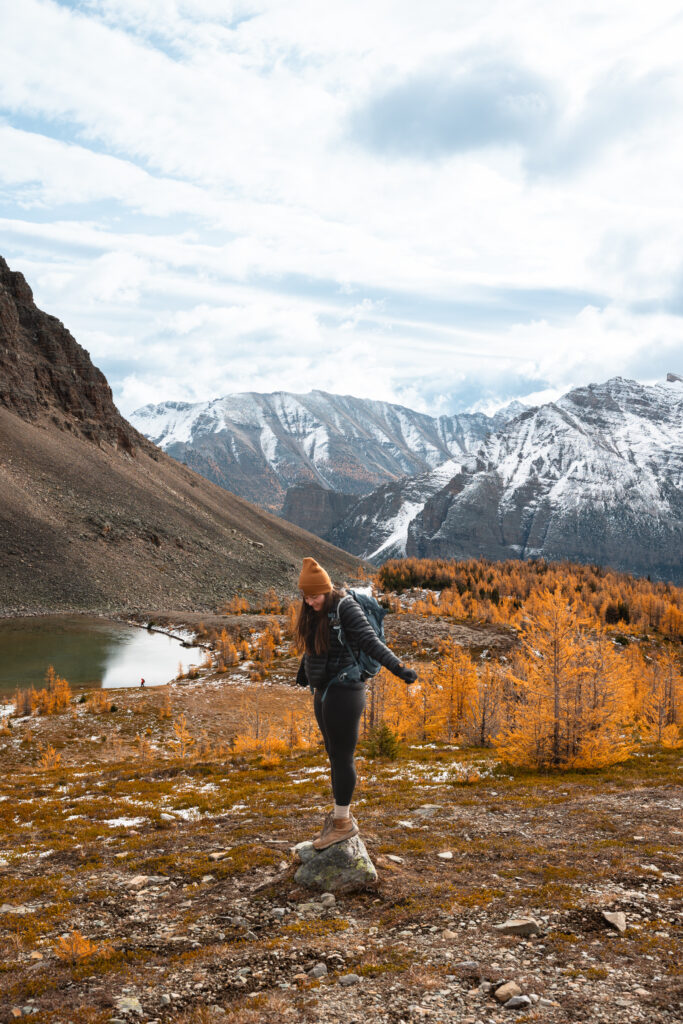 Larch Valley