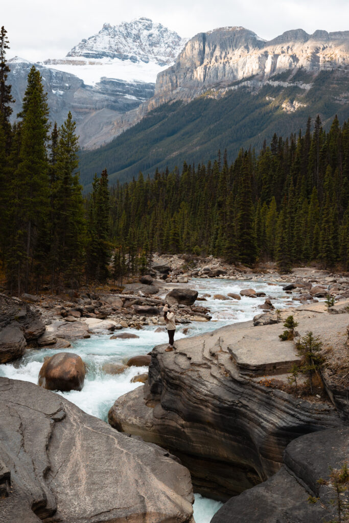  views on the Icefields Parkway