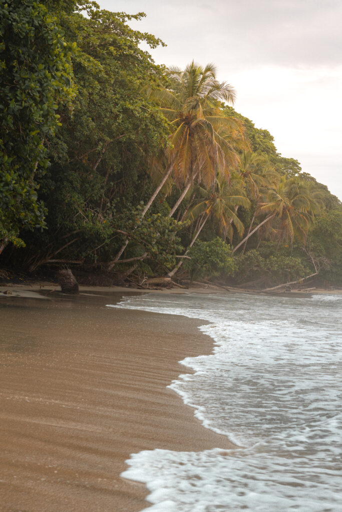 Playa Manzanillo Beach