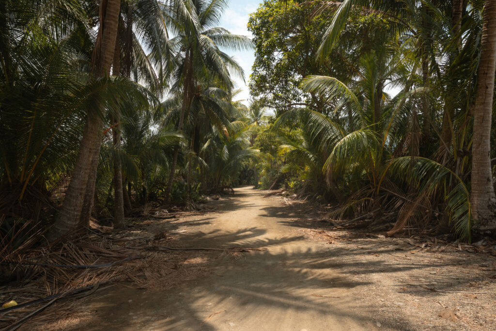 Marino Ballena National Park in Costa Rica