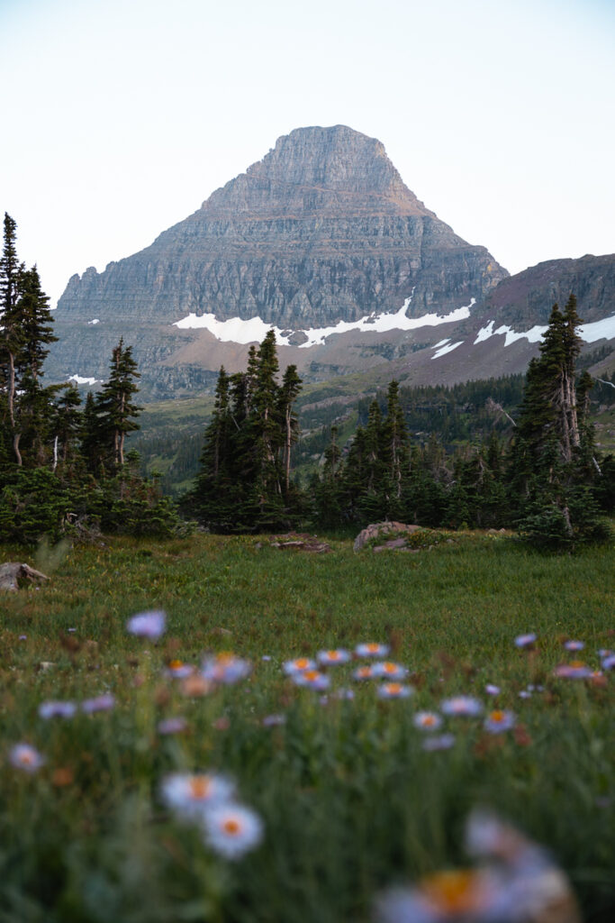 Hidden Lake Overlook Trail in Glacier National Park 